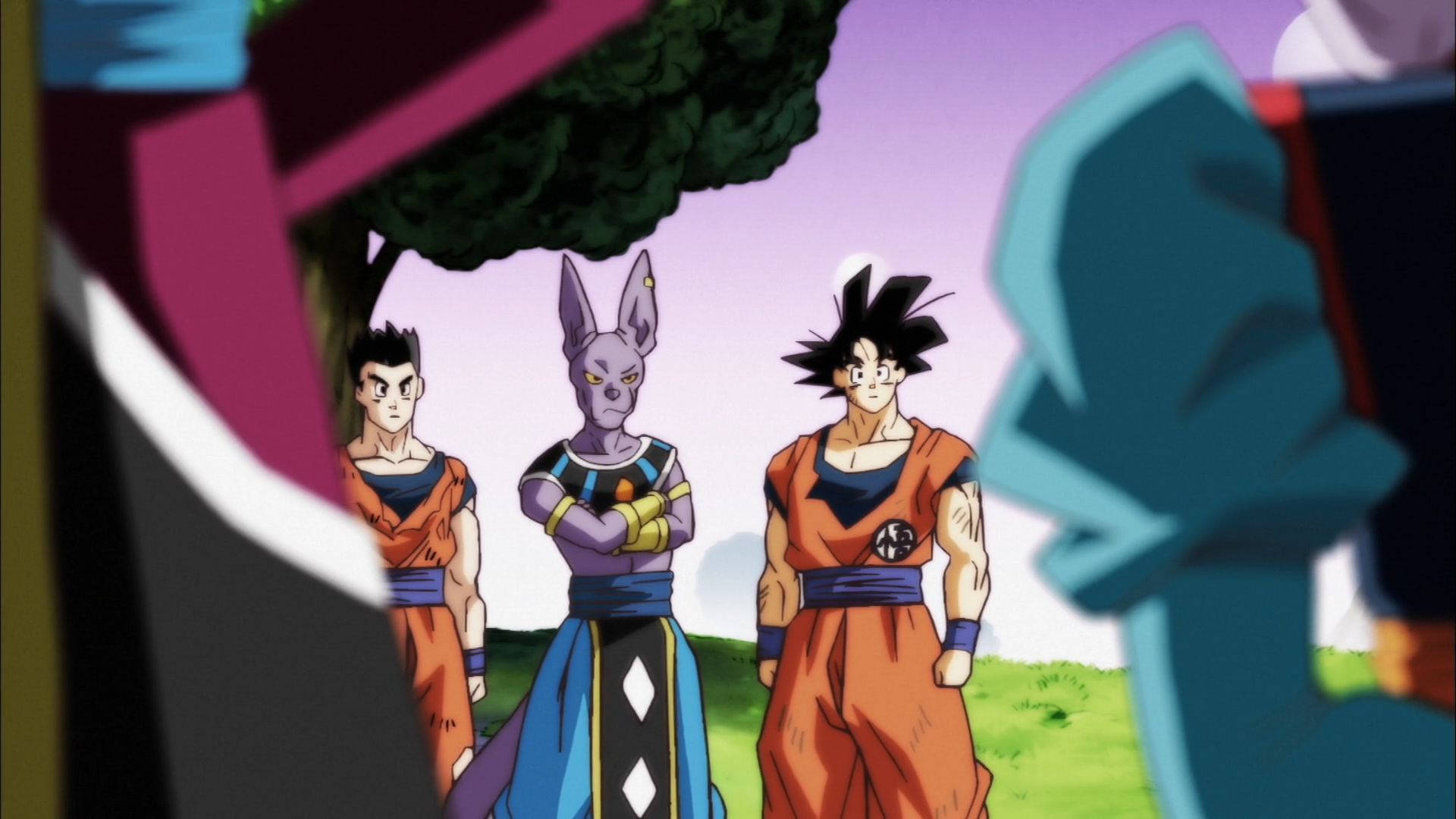 Dragon Ball Super Imperdoável, Son Goku! Toppo, o Guerreiro da