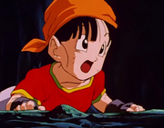 Pan, Dragon Ball Wiki