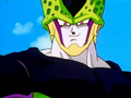 Perfect Cell