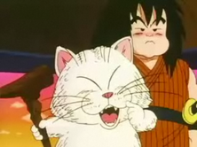 Karin | Dragon Ball Wiki Hispano | Fandom Karin | Dragon Ball Wiki Hispano | Fandom