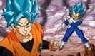 Super Saiyan Blue Goku and Vegeta