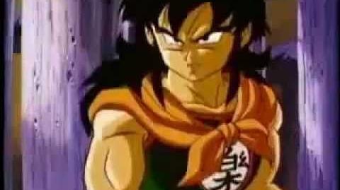 Lobo_Solitario_-_Homenaje_Yamcha-0