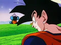 Dbz248(for dbzf.ten.lt) 20120503-18251681