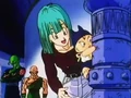 Bulma and Trunks