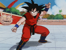 Teen Goku's Turtle School Gi