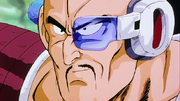 NAPPA - PRIMEIRA APARIÇÃO.png