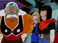 Androids 20, 18 and 17