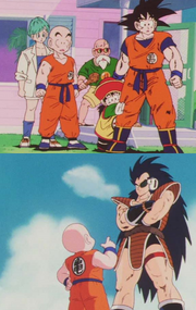 Krillin height DBZ