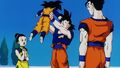 The Son family after the victory over Kid Buu