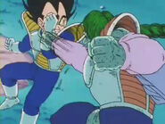 Vegetavszarbonr24