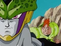 Cell and Android 16