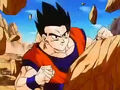 Dbz249(for dbzf.ten.lt) 20120505-11564122