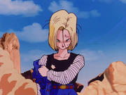 Android 18 (436)