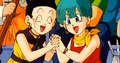 Chi-Chi and Bulma cheering for Krillin