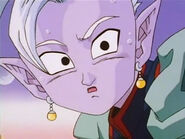 Dbz245(for dbzf.ten.lt) 20120418-17360414