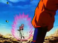 Dbz249(for dbzf.ten.lt) 20120505-11594621