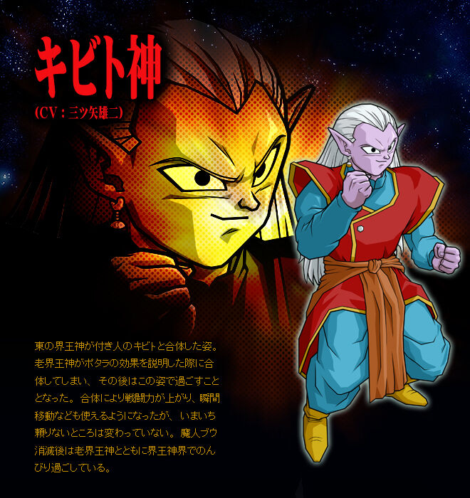 Image 10 - Adult Chi-Chi in BT3 mod for Dragon Ball Z: Budokai Tenkaichi 3  - Mod DB