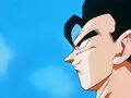 Dbz248(for dbzf.ten.lt) 20120503-18254287