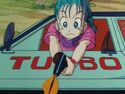 Bulma shoots