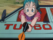 Bulma shoots