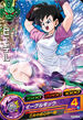 Videl card