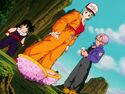 Bulma finds a strange cocoon