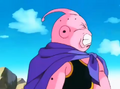 Majin Buu faces Evil Buu