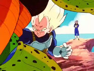 Vegetavscell8