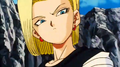 Android 18 looking at Roshi