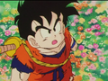 Gohan responds that his mission is to defeat the Saiyans