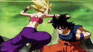 Goku vs. Caulifla SS2