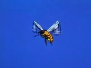 YellowBee