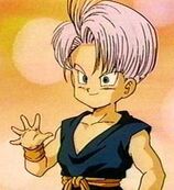 Kid Trunks