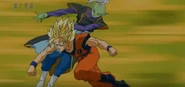 Zamas peleando contra Goku.