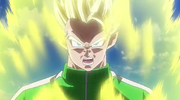 SS Gohan RoF