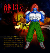 Super 13 en Dragon Ball Z: Budokai Tenkaichi 3