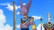 DBS Beerus falls asleep 2348765