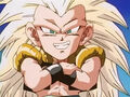 Dbz245(for dbzf.ten.lt) 20120418-17353230