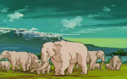 Elephants