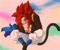 Gogeta riant après avoir fait une blague à Li Shenron.