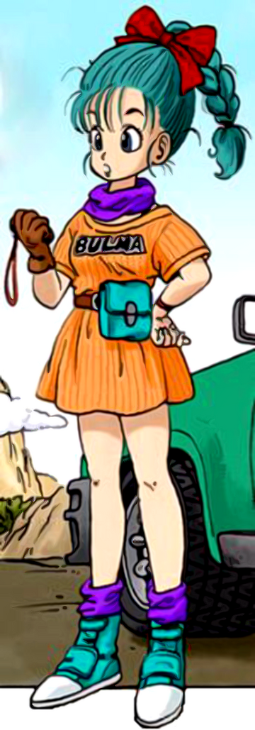 Bulma  Fight Profile  Dragon Ball Guru