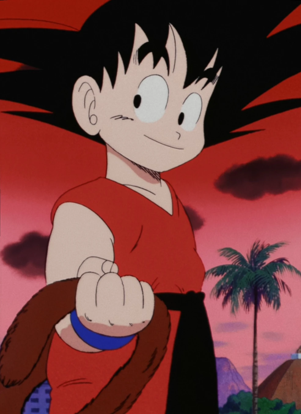 Tail's Tale | Dragon Ball Wiki | Fandom