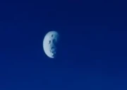 Shamo, logo antes de sua destruição