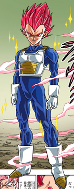 Dragon ball super vegeta super saiyan god shop