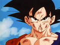 DBZ - 224 -(by dbzf.ten.lt) 20120303-15205576