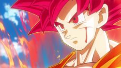 Son Goku Supersaiyano Dios vs. Beerus | Dragon Ball Wiki Hispano | Fandom