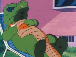 Sunglasses Crocodile