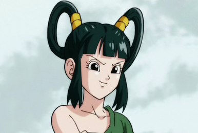 A Mysterious Beauty Appears The Enigma of the Tien Shin Style Dojo Dragon Ball Wiki Fandom