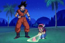 Arale DBS.jpg