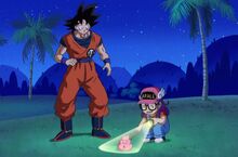 Arale DBS